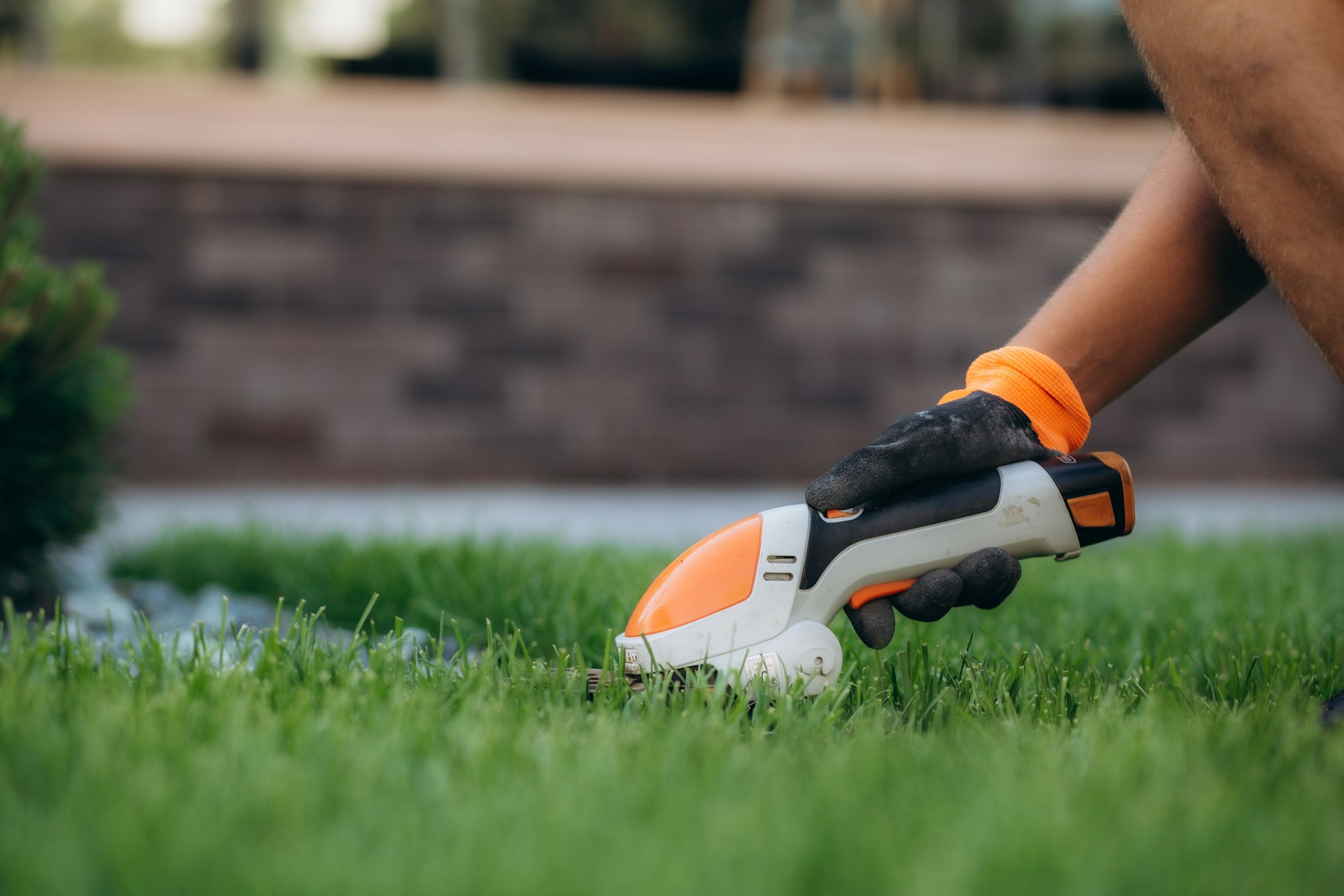 Lawn trimming service