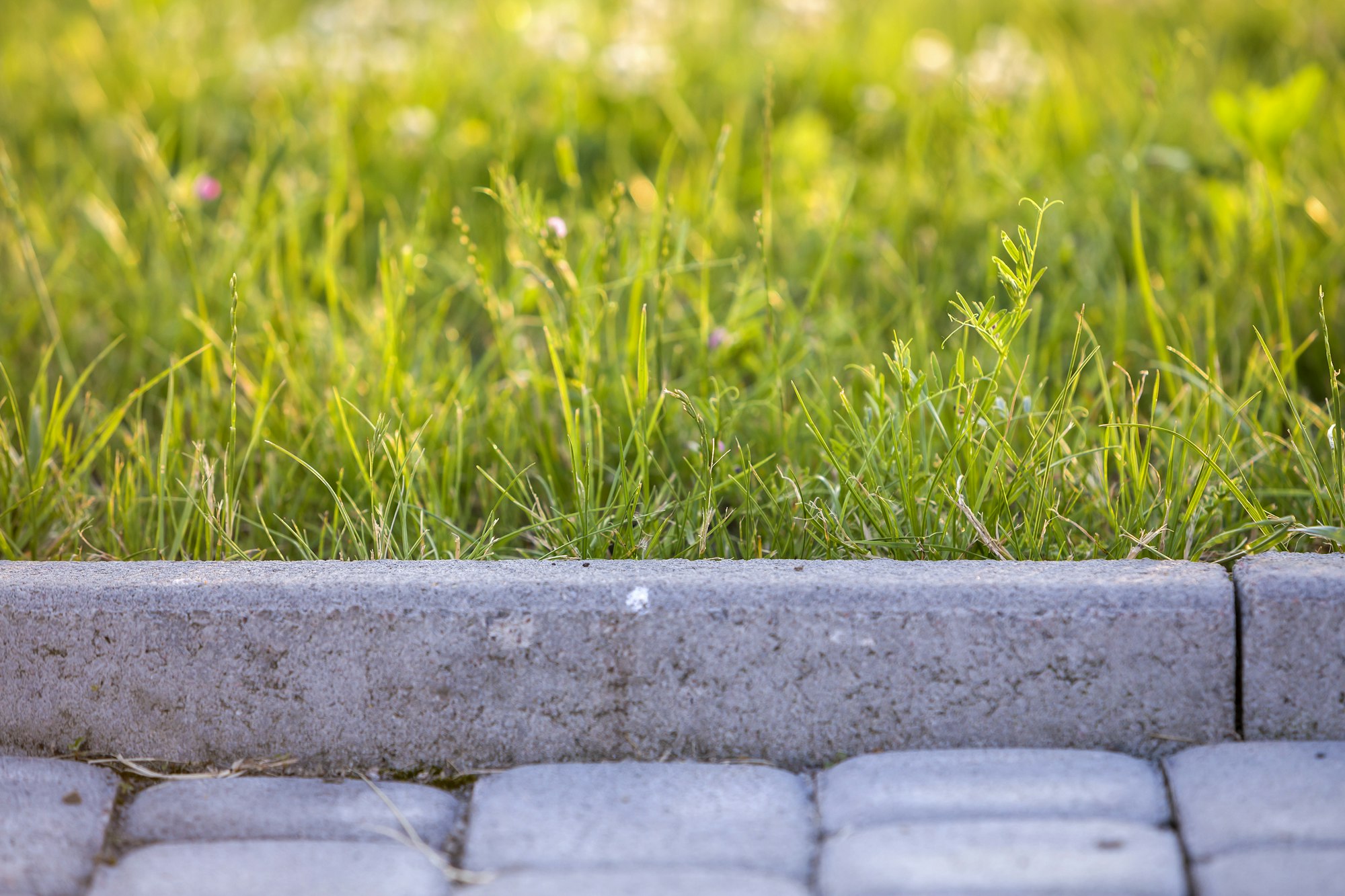 Clean curb edging with well-maintained green lawn