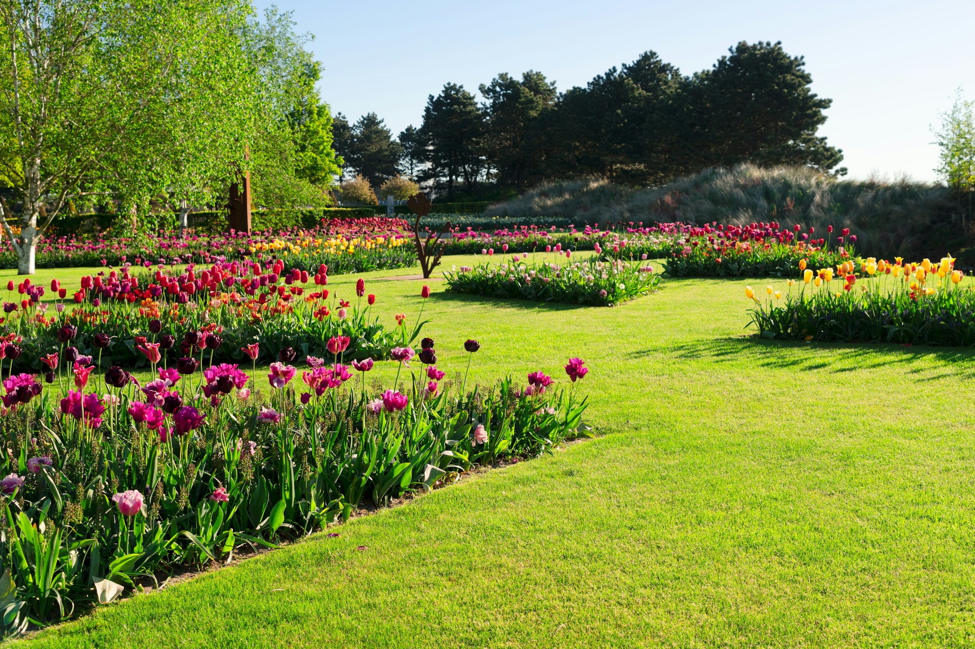 Weeding and garden bed maintenance